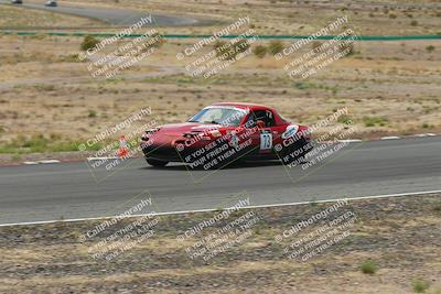 media/May-03-2025-Lucky Dog Racing (Sat) [[206de64b9d]]/Turn 6 (150pm-230pm)/